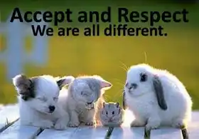 Accept and Respect. We all are different - Cute Cat Dog Puppy Rabbit Squirrel