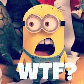 WTF - What The Fuck - Despicable Me - Minion Wondering