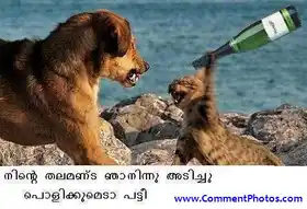 നിന്‍റെ തലമണ്ട ഞാനിന്ന് അടിച്ചുപൊളിക്കുമെടാ പട്ടി - Ninte Thalamanda Njaaninnu adichu polikkumeda Patti - Cat Beats Dog with a bottle