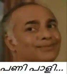 പണി പാളി - പ്രതാപചന്ദ്രന്‍ - Pani Paali - Prathapachandran funny look