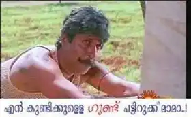 എന്‍ കുണ്ടിക്കുള്ലെ ഗുണ്ട് പട്ടിറുക്ക് മാമാ - ശ്രീനിവാസന്‍ - En Kundikkulle Gund Pattirukku Mama - Sreenivasan