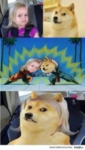 Funny Looking Girl to Dog Transformation