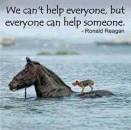 We Cant Help Everyone, but We Can Help Someone - Horse Saves Dog in Flood