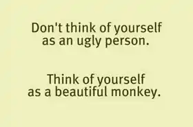 Dont Think Of Yourself as an Ugly Person. Think Yourself as a Beautiful Monkey