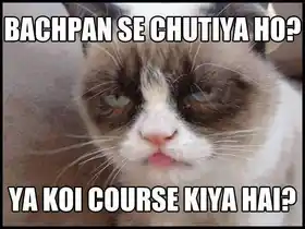 Bachpan Se Chutiya Ho Ya Koi Course Kiya Hai - Grumpy Cat