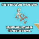 First Physics Law Of Cartoons - Gravity Will Not Work Till You Look Down - Wile E Coyote Cliff