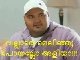 വല്ലാതെ മെലിഞ്ഞു പോയല്ലോ അളിയാ - ഡാ തടിയാ - ശേഖര്‍ മേനോന്‍ - Vallaathe Melinju Poyallo aliya - Da Thadiya - Sekhar Menon