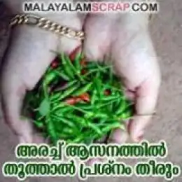 അരച്ച് ആസനത്തില്‍ തൂത്താല്‍ പ്രശ്നം തീരും - കാ‍ന്താരി മുളക് - Arachu Aasanathil Thoothaal Prashnam Theerum - Green Chillies