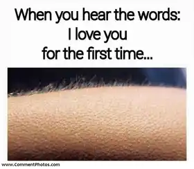 When You Hear The Words - I Love You For The First Time - Goose bumps in Hand