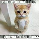 You are no match for my powers of cuteness - Cute Standing Kitty Cat