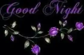 Good Night - Flowers in Night