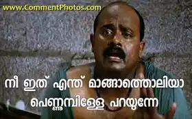 നീ ഇത് എന്ത് മാങ്ങാത്തൊലിയാ പെണ്ണുമ്പിള്ളേ പറയുന്നേ - Nee ithu enthu mangatholiya pennumbille parayunne - മാങ്ങ തൊലി - Manga tholi - കലാഭവന്‍ ഷാജോണ്‍ - Kalabhavan Shajon