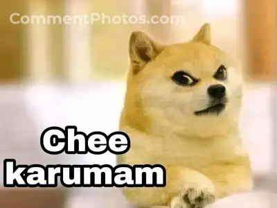 சீ கருமம் - நாய் மீம்ஸ் - புகைப்படக் கருத்துகள் - Chee karumam - dog memes - Doge tamil photo comments