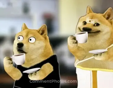 Dogs drinking coffee meme - Dogs funny looks - wondering