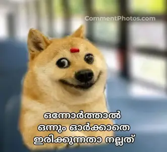 ഒന്നോർത്താൽ ഒന്നും ഓർക്കാതെ ഇരിക്കുന്നതാ നല്ലത് - പട്ടി മീം - Onnorthal onnum orkkathe irikkunnatha nallathu - Doge Meme